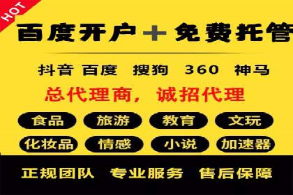 Sem优化公司成功案例：转化率提升之道