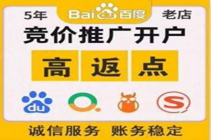 竞价广告推广公司成功故事：一例互联网企业的崛起之路